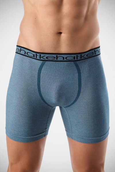 Bóxer caballero 2